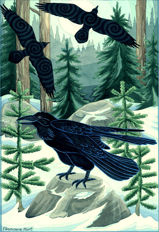 Winter-Ravens